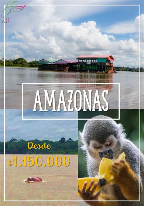 Amazonas Desde El Coraz N Flying Nature Colombia