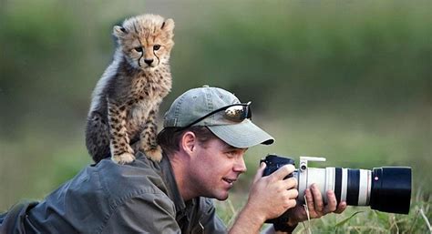 20 Pictures Showing That Nature Photographers Have The Best Jobs Ever