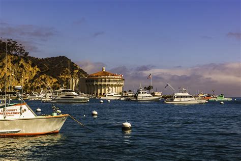 加州圣卡塔利娜岛 Santa Catalina Island ，美丽海湾 Redian News