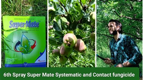 Th Spray Fruit Development Ii Stagesuper Mate Systematic And Contact