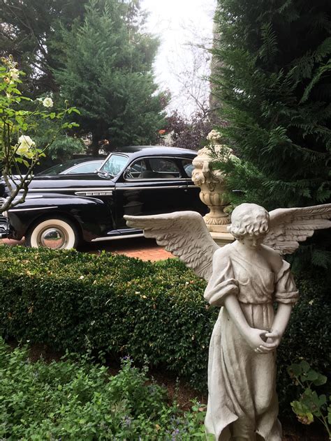 First misty morning here at... - Bishop's Court Estate