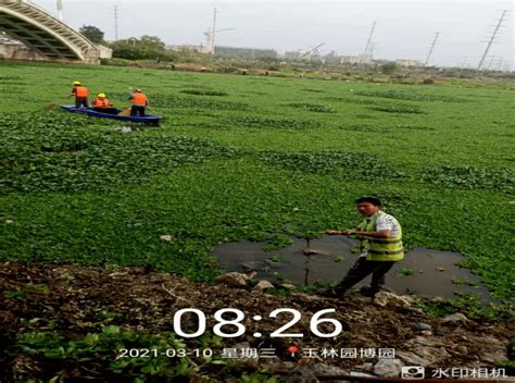 多部门联合开展清河行动守护绿水清流水葫芦