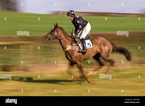 Blurred Motion Image Of Horse And Jockey Galloping During Itton Point