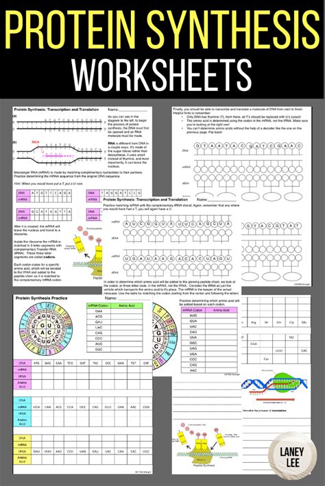 Blog Laney Lee Biology Worksheet Biology Classroom Middle School Science Resources