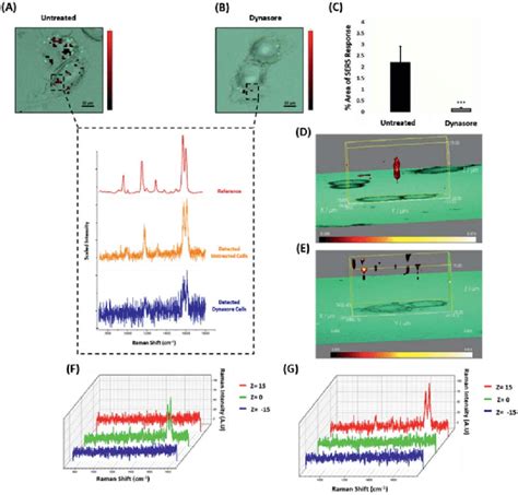 Era Aunps Use Dynamin For Their Cellular Uptake In Mcf Cells A