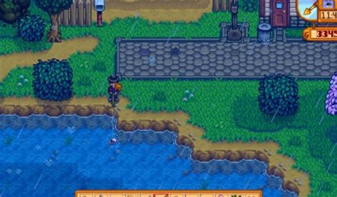 Stardew Valley D Nde Atrapar A Shad Amk Station Espa A