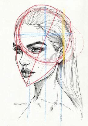 pin  rickcastner  cool face layouts face proportions anatomy