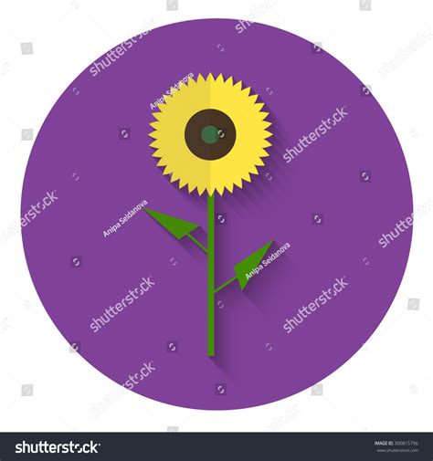 Sunflower Stock Vector Royalty Free 300815756 Shutterstock