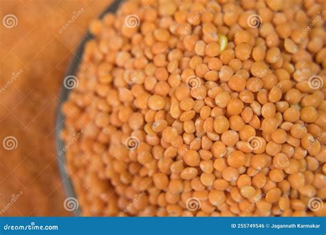 Lentils are Rich in Protein. Stock Photo - Image of vitamins, lentils ...