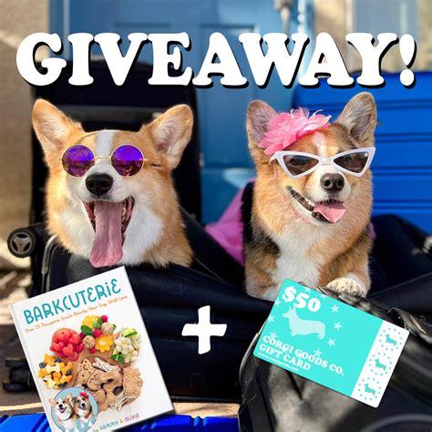 Hammy And Olivia Book Giveaway Contest The Corgi Goods Co