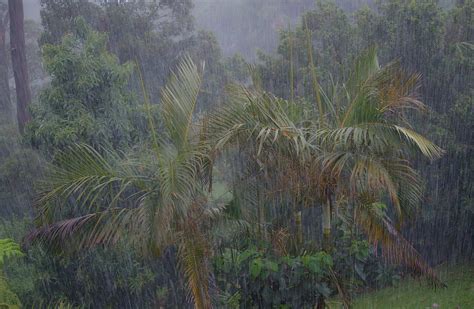 What is the typical weather in Costa Rica? - Tico Travel