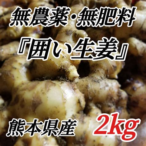 囲い生姜 無農薬 無肥料 露地栽培 熊本県産 2kg メルカリ