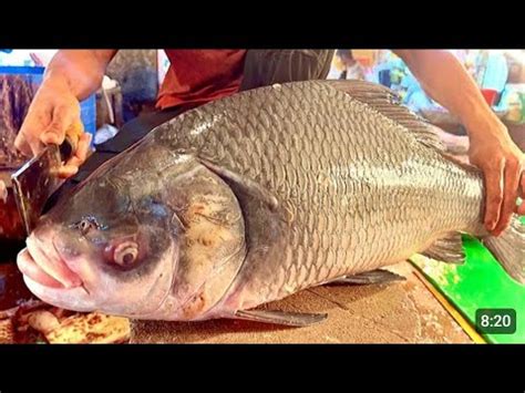 Magh Bihu Uruka Special Kg Catla Fish Cutting Skill Happy Magh Bihu