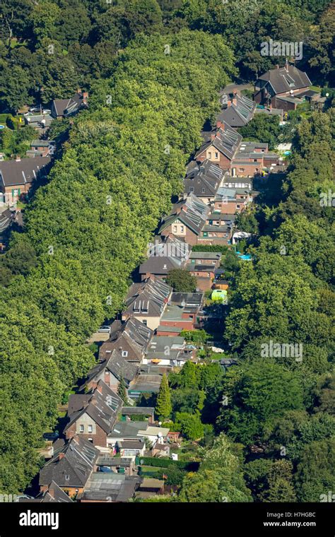 Luftaufnahme Duisburg Homberg Siedlung Rheinpreu En Historische