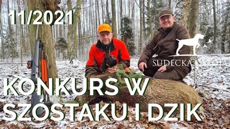 Sudecka Ostoja 11 2021 Konkurs w Szóstaku i polowanie na dziki z