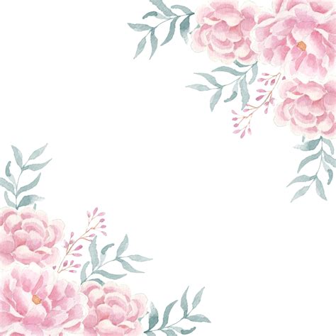 Peônia Rosa Pastel Suave E Borda De Flor Em Aquarela Rosa Png