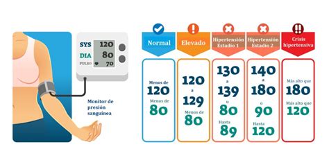 Qué es la Presión Arterial Sistólica y Diastólica