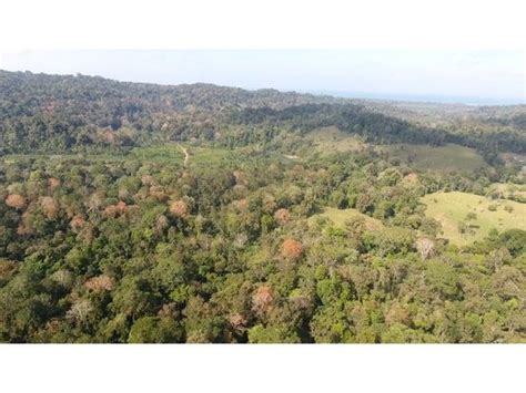 Finca Nanabri Farm And Ecotourism Land For Sale In Penshurst