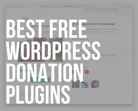 Best Free Wordpress Donation Plugins In Ultida