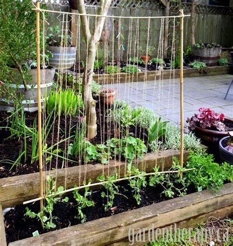 30 Diy Trellis Ideas For Your Garden 2017