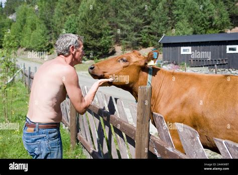 Glückliche kuh Fotos und Bildmaterial in hoher Auflösung Alamy