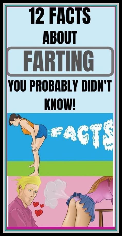 The Cover Of Fact About Farting You Probably Didn T Know What It Is