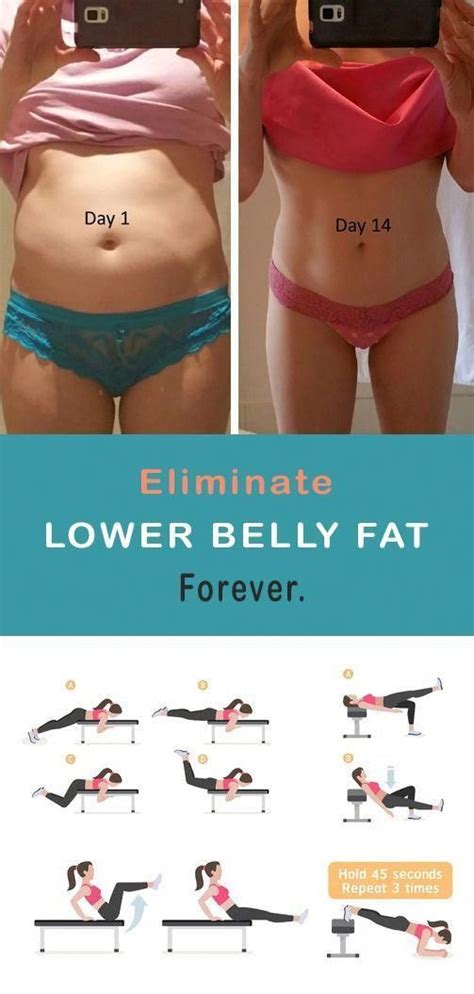 Best Way To Lose Tummy Fat Fast EBikeAI