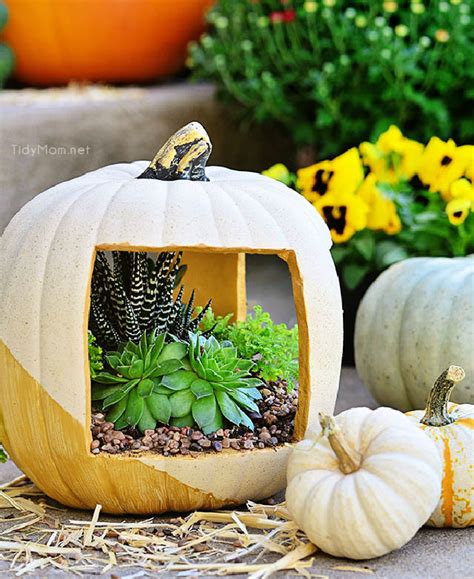 Simple Ways To Make A Pumpkin Planter Blitsy