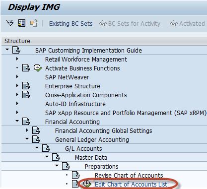 Sap Chart Of Accounts Structure