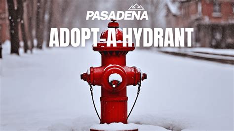 Adoptahydrant Town Of Pasadena