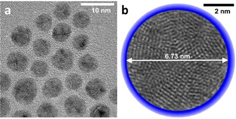 Fig S2 TEM Characterization Of AgNP A TEM Image Of Multiple