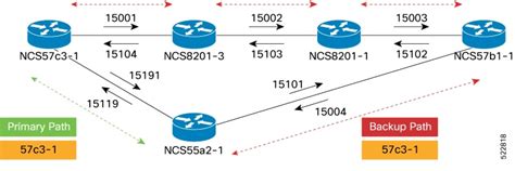 Cisco Routed Optical Networking Solution Guide Release 2 1 PLE