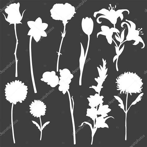 Vector Set Of White Flowers Silhouettes Stock Vector Image By ©nikiteev 44784533