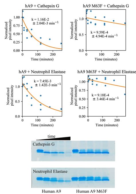 Figures and data in Evolution of multifunctionality through a ...