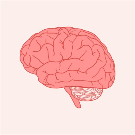 Axonal Neuropathy (AMAN) - AUTOIMMUNE SISTERS