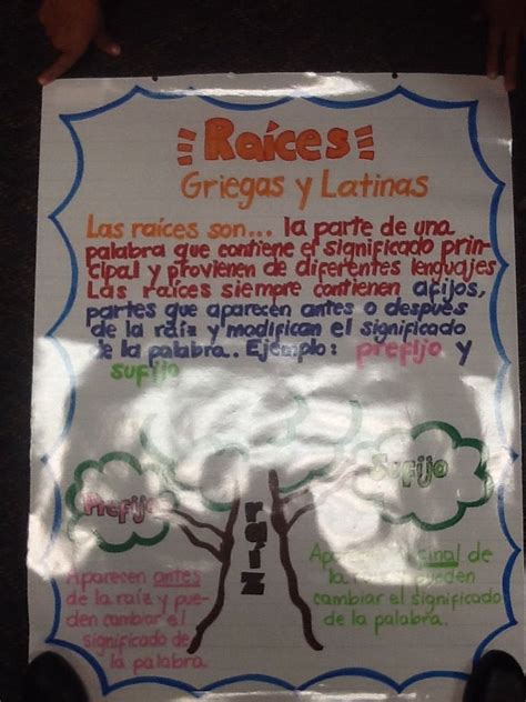 Raices Griegas y Latinas Anchor Chart Clase de español La raiz