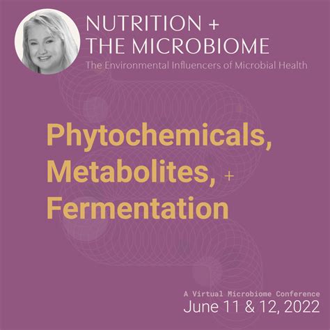 Phytochemicals Metabolites Pre Pro Postbiotics Fermentation 1 5