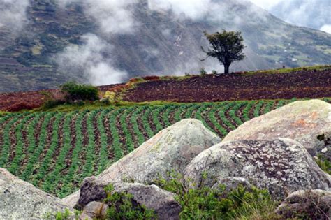 En Perú los servicios ecosistémicos ponen la equidad en foco