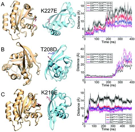 The structural basis for Ras activation of PI3Kα lipid kinase