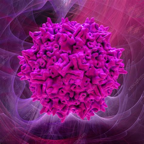 Adeno Associated Virus Capsid Stock Image C Science