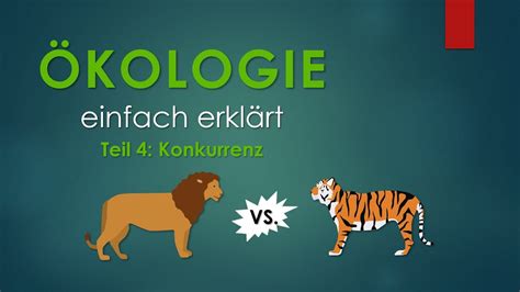 4 Konkurrenz ÖKOLOGIE einfach erklärt YouTube