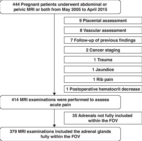 Acute Nonhemorrhagic Adrenal Infarction In Pregnancy 10 Year Mri