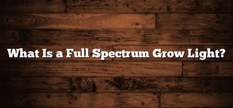 What Is A Full Spectrum Grow Light Inter Culturalu