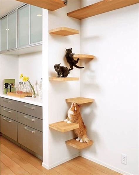 30 Easy Diy Cat Shelves Ideas That Will Wow Them Homemydesign