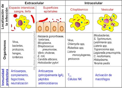 Clasificacion De Patogenos