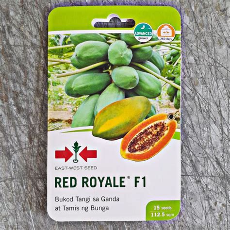 Red Royale F1 Hybrid Red Flesh Papaya 15 Seeds East West Seed Lazada Ph