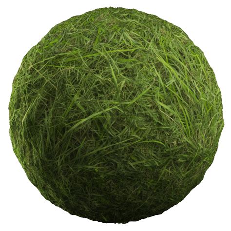 Wild Grass Pbr Texture A23d