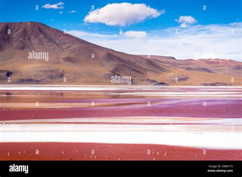 Laguna Colorada, Eduardo Avaroa National Reserve, Bolivia Stock Photo ...