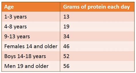 How Much Protein Do You Really Need Choicelunch