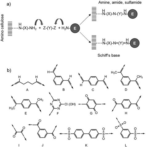 Schematic Representation For A The Enzyme Immobilization On Amino